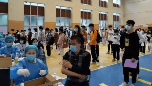 宁县事件爆料信息最新公布,真相逐步浮出水面